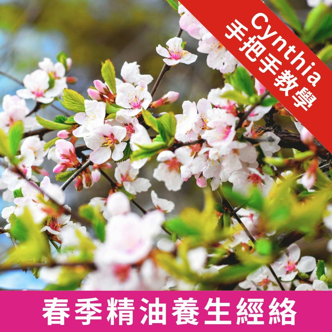 精油講座:春季精油養生經絡(線上版)