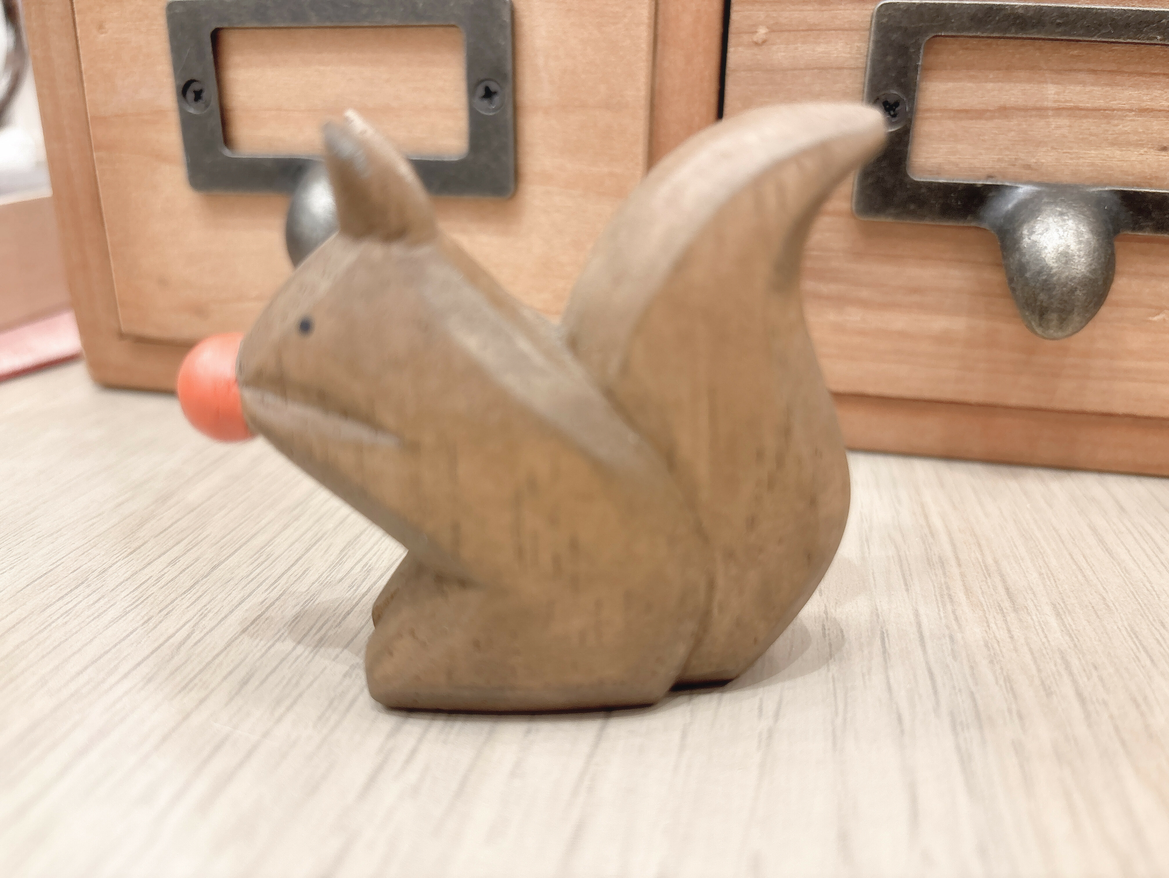 木頭松鼠紅果實