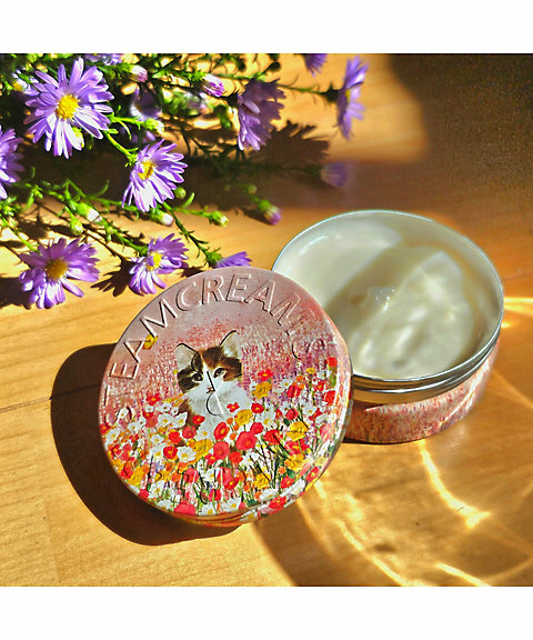 STEAMCREAM Calico Cat & Little Friends 萬用 蒸汽乳霜 (全身、臉部、頭髮皆可用) 75g