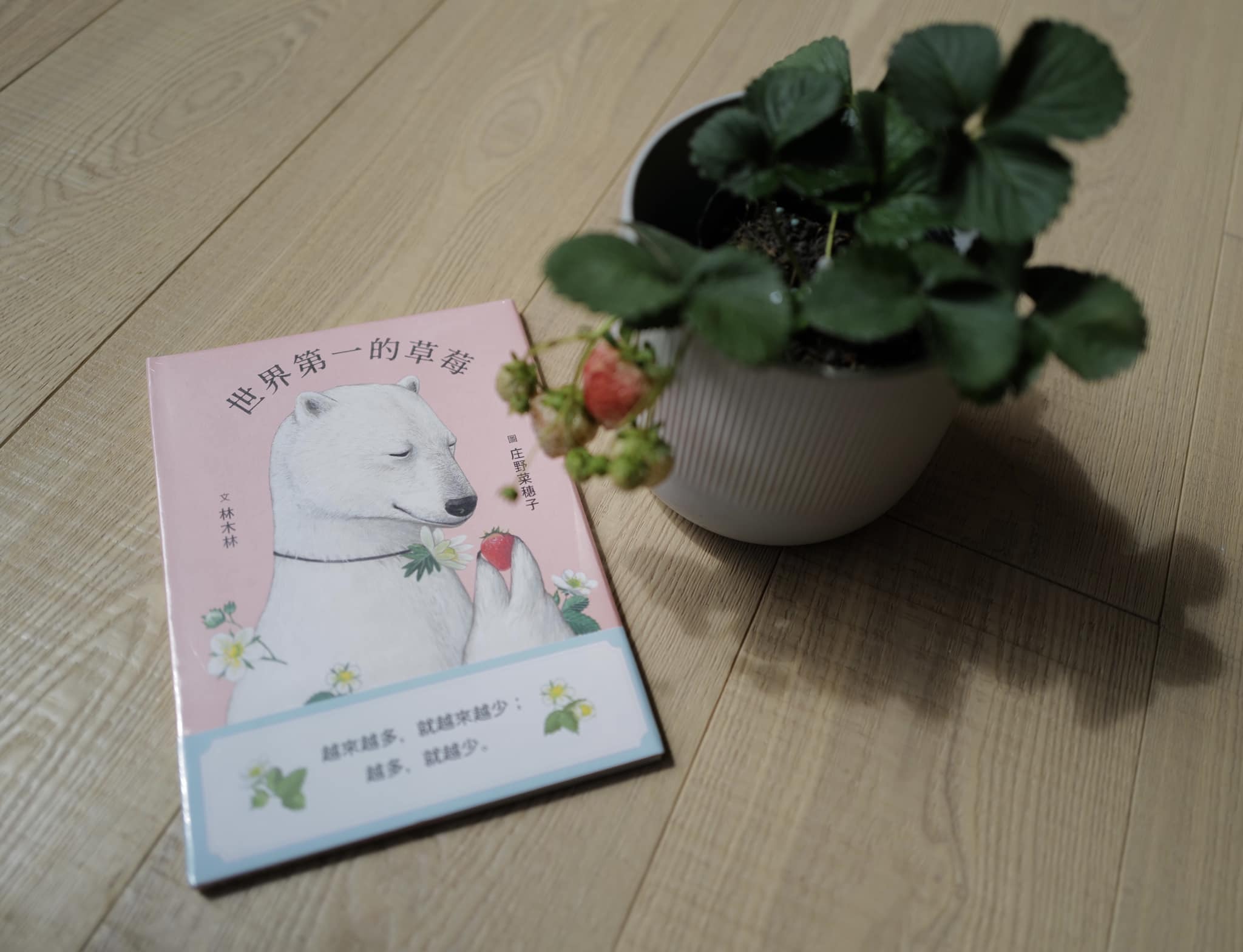 《世界第一的草莓》