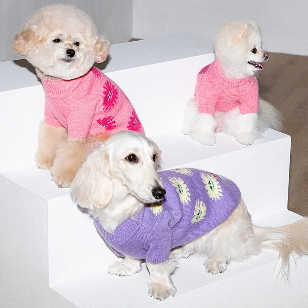 Puppy Gallery -暖冬海藻毛衣(三色）