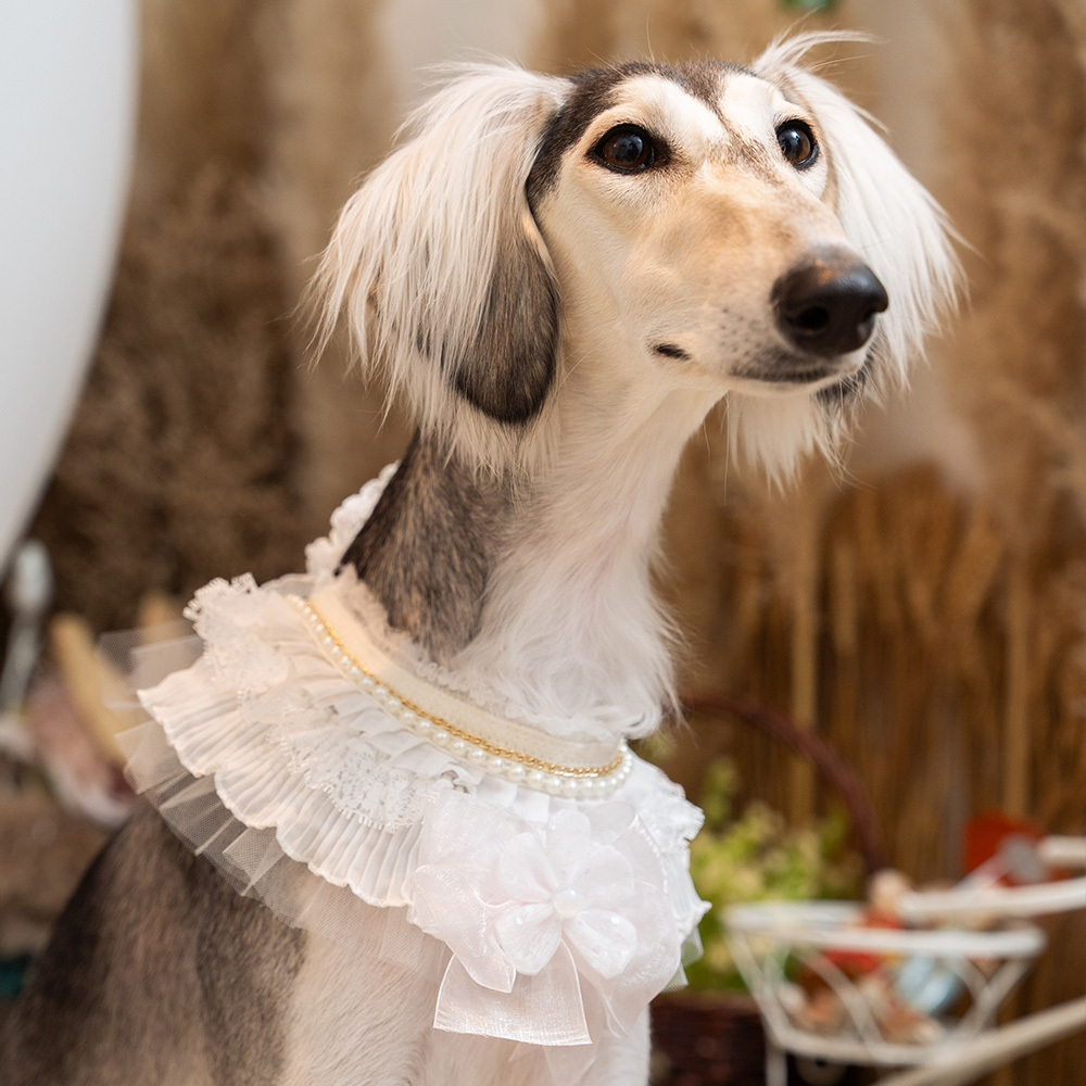 Pink Bow Pearl Lace Collar