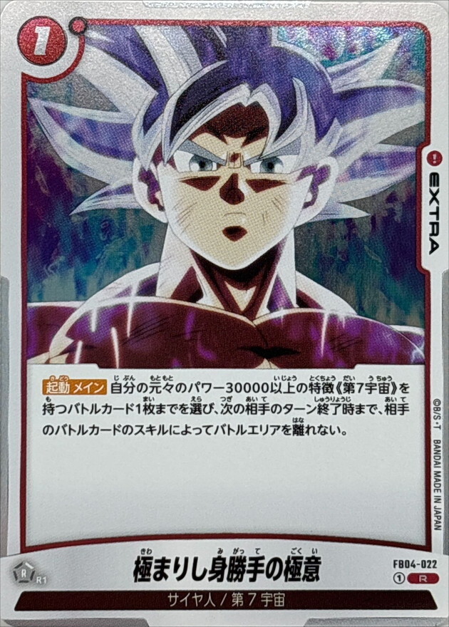 FB04-022 極まりし身勝手の極意