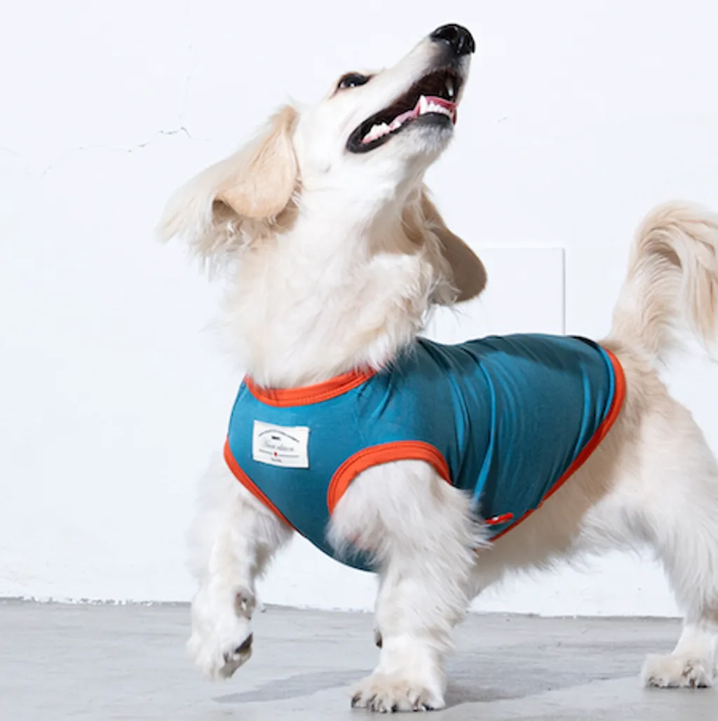 Puppy Gallery - 愛心彈力無袖背心(三色）