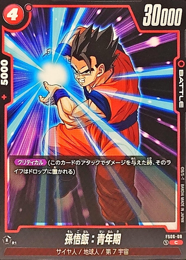 FS06-08 孫悟飯：青年期