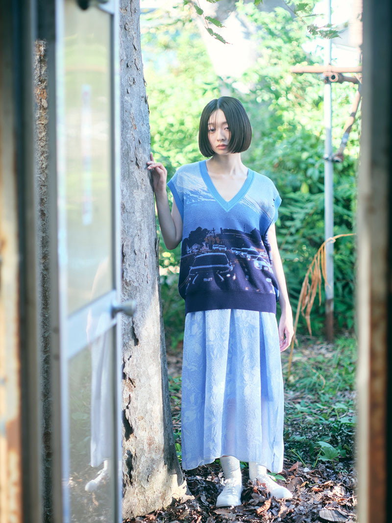 Mt. Fuji View from the Backseat Vest