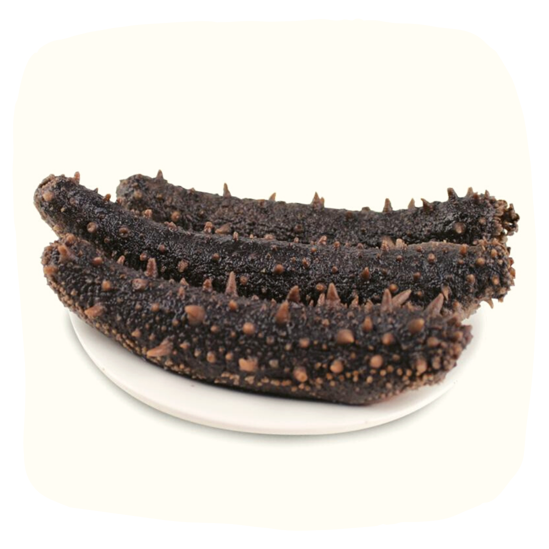 急凍加拿大野生刺參 (約500g)