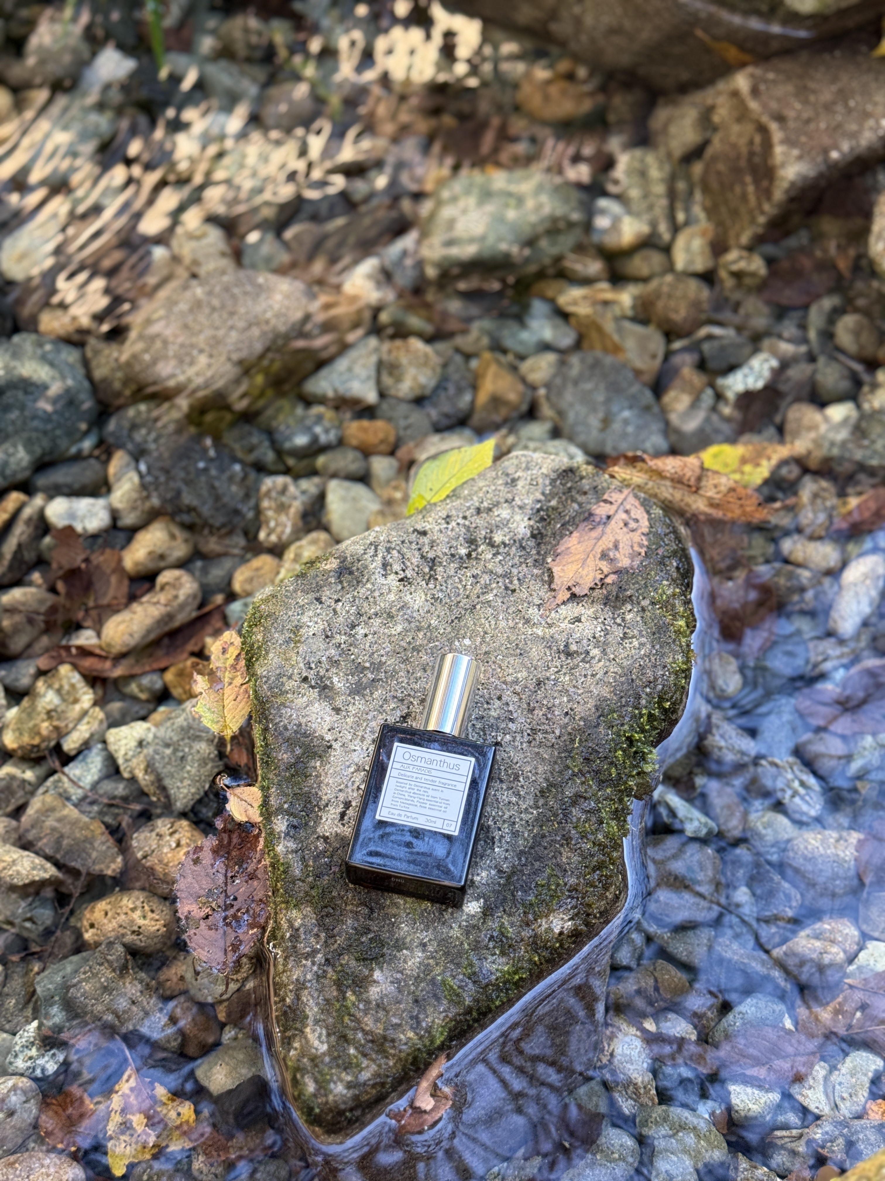 Aux paradise 秋季限定 — 金木犀