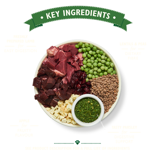 Lily's Kitchen Chicken & Duck Grain Free Dog Dry Food 2.5kg