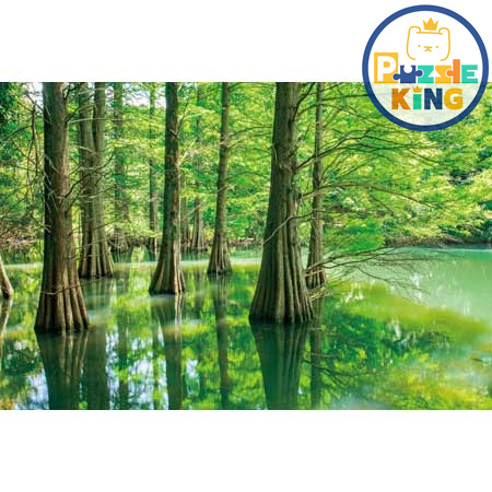 落浜鬆的神秘森林（福岡）