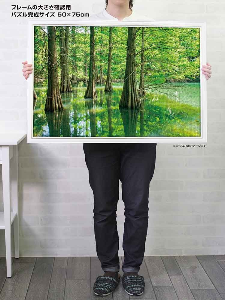 落浜鬆的神秘森林（福岡）