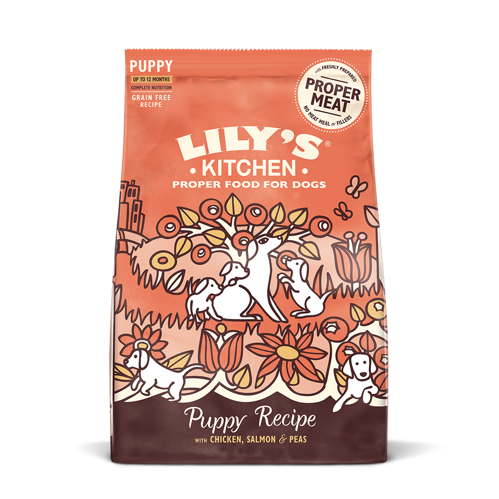 Lily's Kitchen Chicken & Salmon Grain Free Puppy Recipe 2.5kg