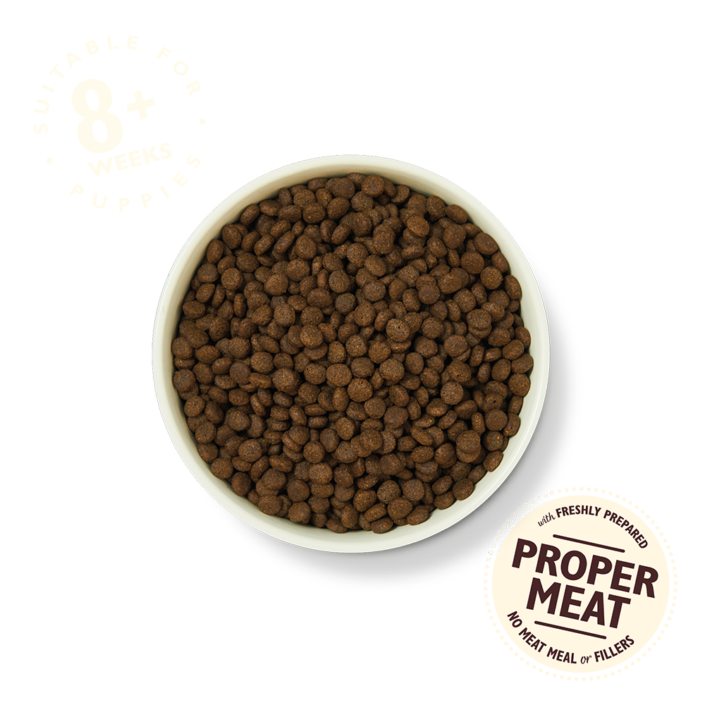 Lily's Kitchen Chicken & Salmon Grain Free Puppy Recipe 2.5kg