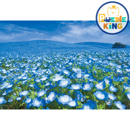 天空連結之丘（茨城縣）