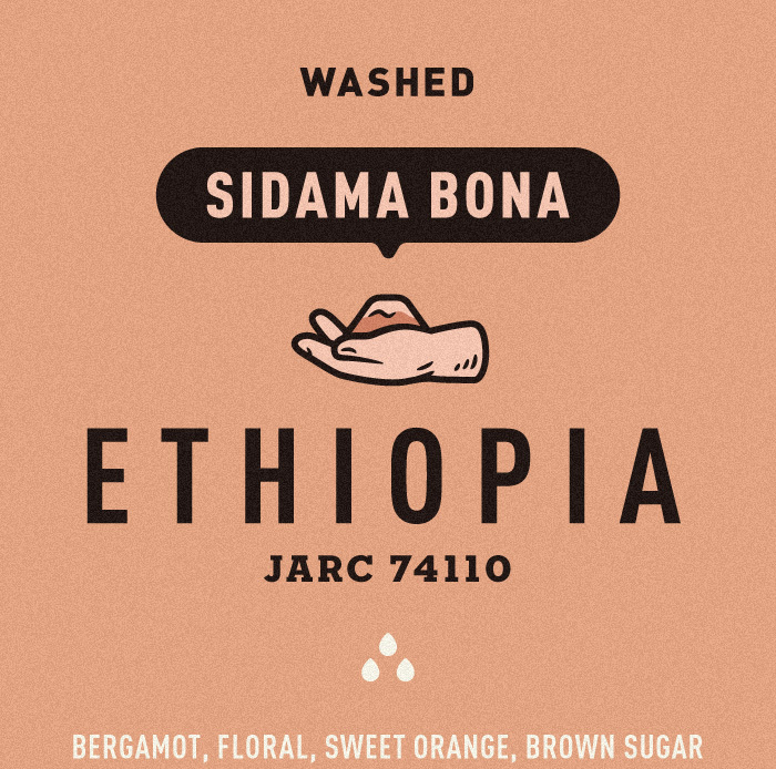 Ethiopia | Sidamo | Bona, Gute Village | 74110 | Washed