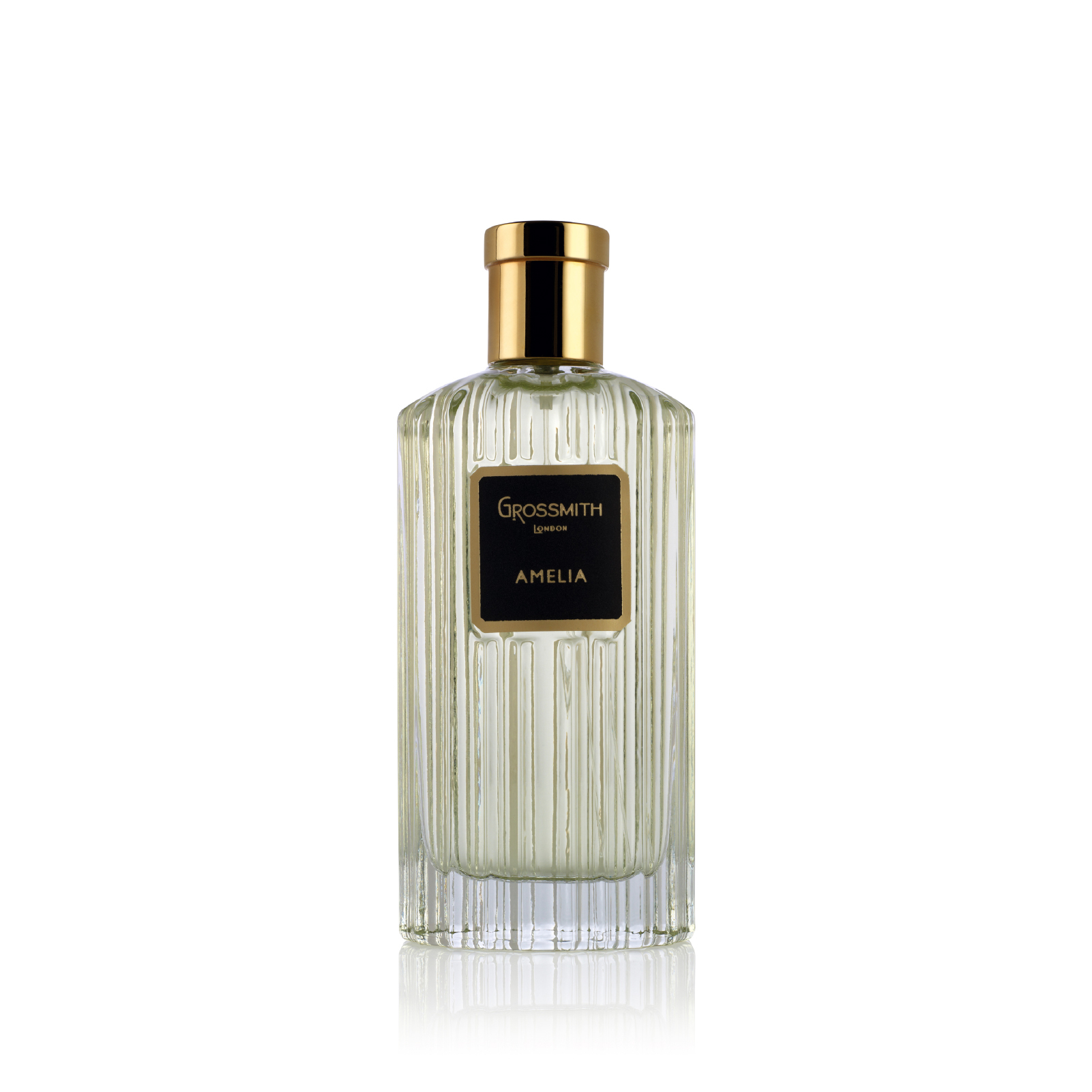 Thameen The Cora 弧光花蕾