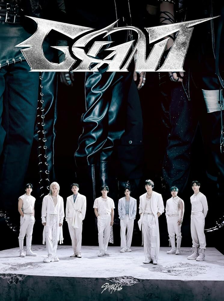 Stray Kids - GIANT CD+ZINE ( 初回生産限定盤B ) シリアルナンバー1口封入
