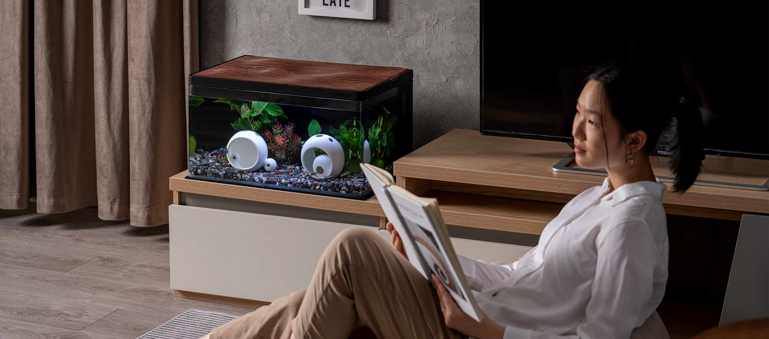 2024 年 iF 設計獎產品設計項目獲獎作品 「Harmony aquarium 」新世代水族：水族箱革新設計先鋒