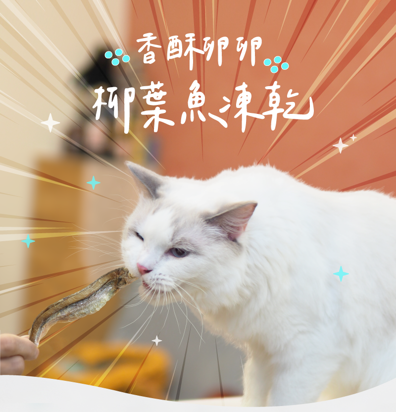 卡尼純肉零食 香酥卵卵柳葉魚凍乾