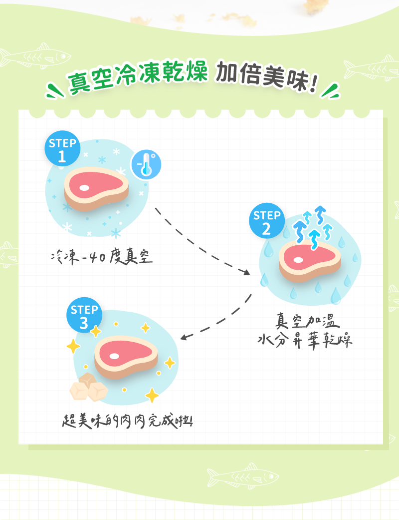 真空冷凍乾燥製程說明