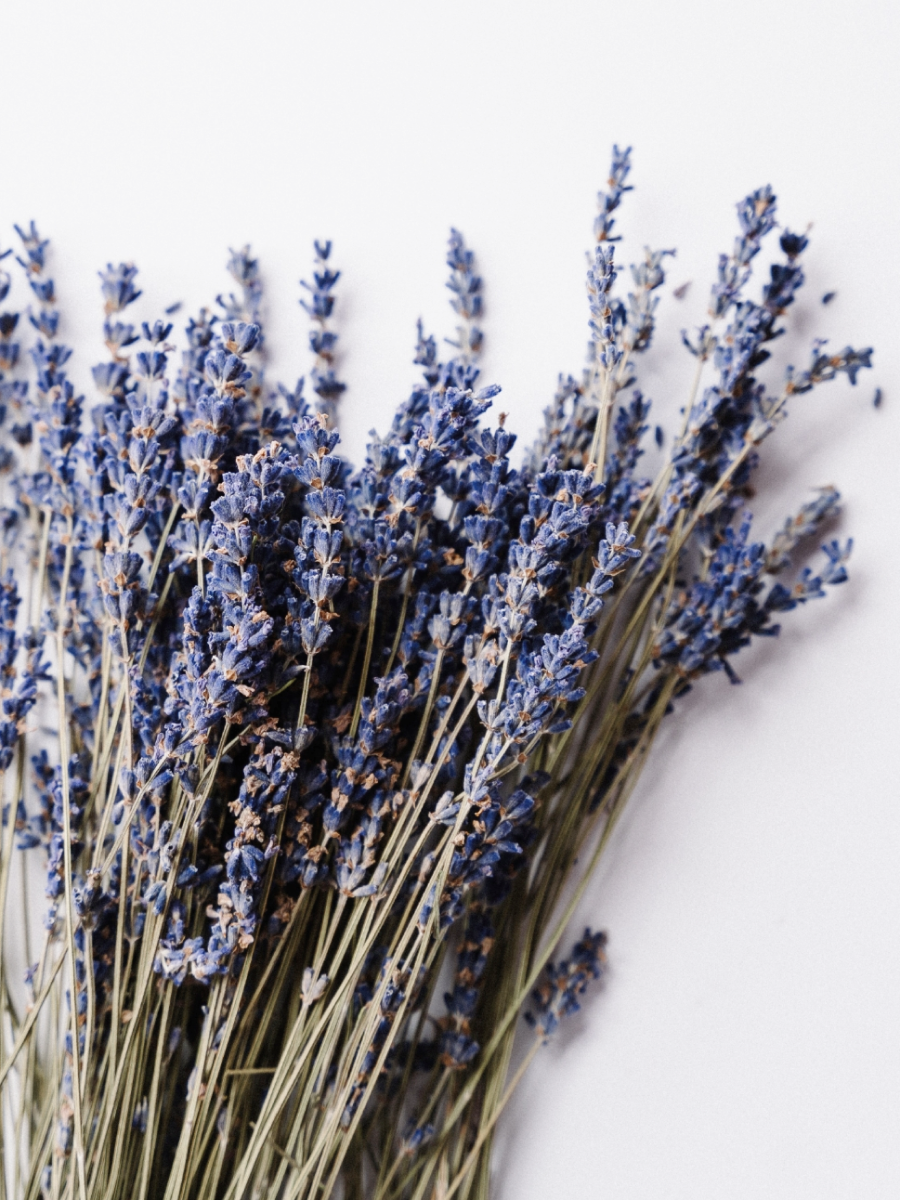 【天然密碼】銀離子寵物濕紙巾｜薰衣草