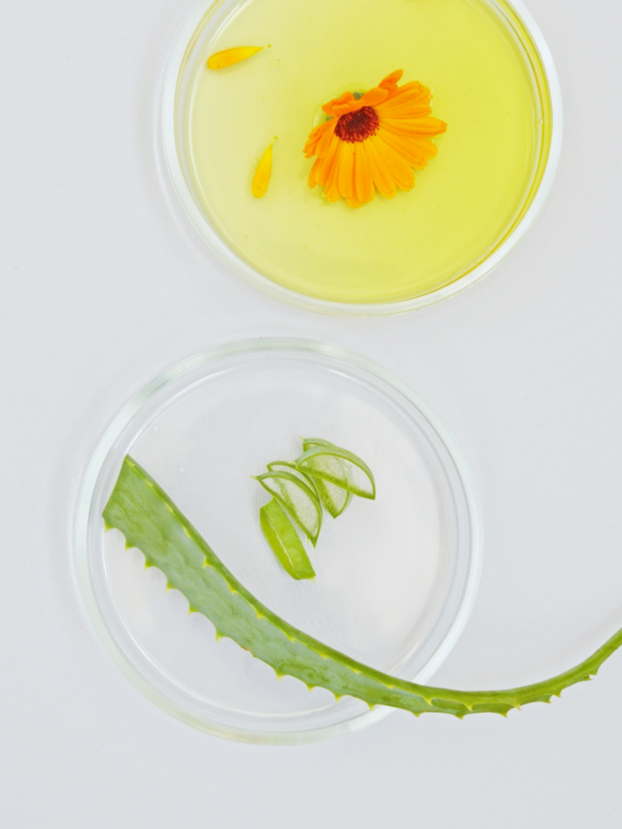 【天然密碼】銀離子寵物濕紙巾｜原味無香