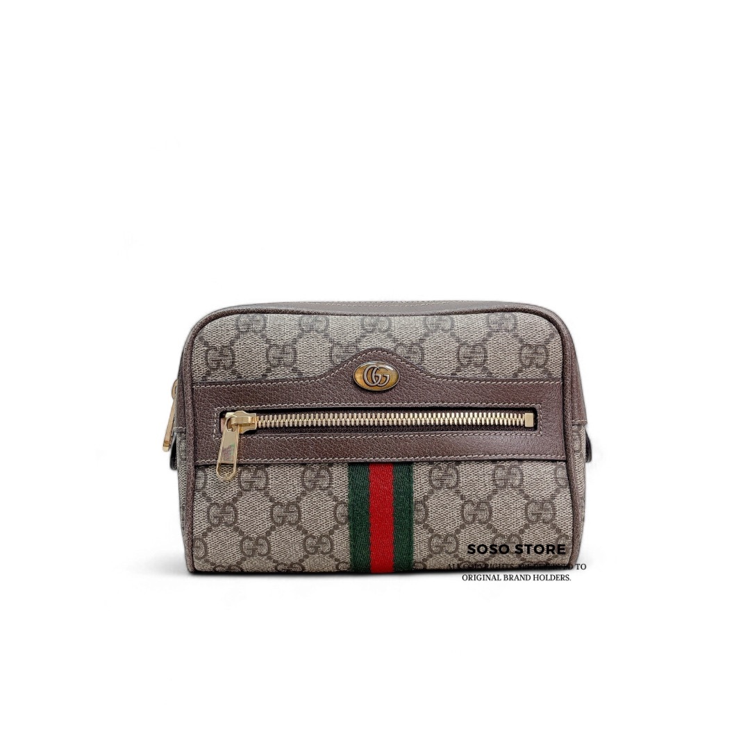 Gucci Ophidia Mini Bag - Brown / Ghw