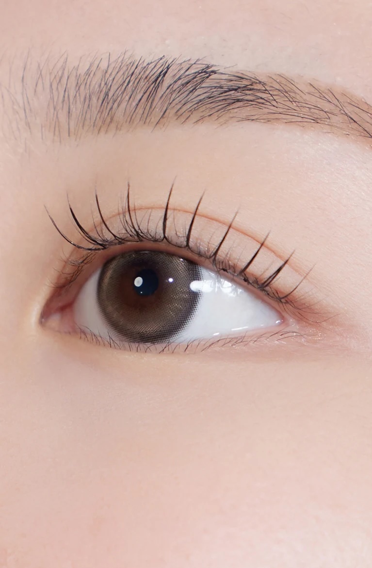 Bean Kristin Monthly (Medium Brown)