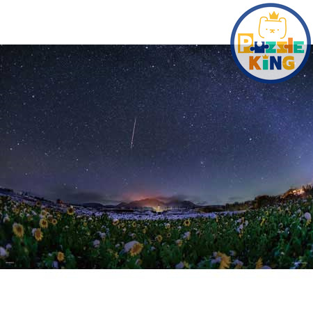 白雪皚皚的向日葵田