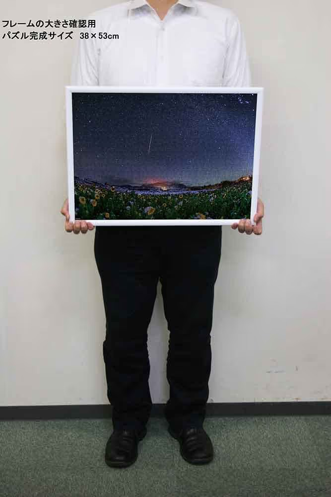 白雪皚皚的向日葵田