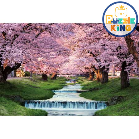 觀音寺川上一排排的櫻花樹（福島）