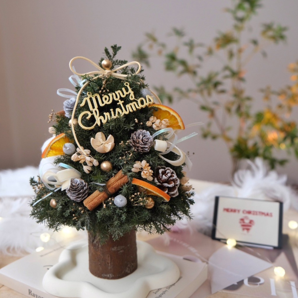 簡約雪松聖誕樹樹 永生聖誕樹