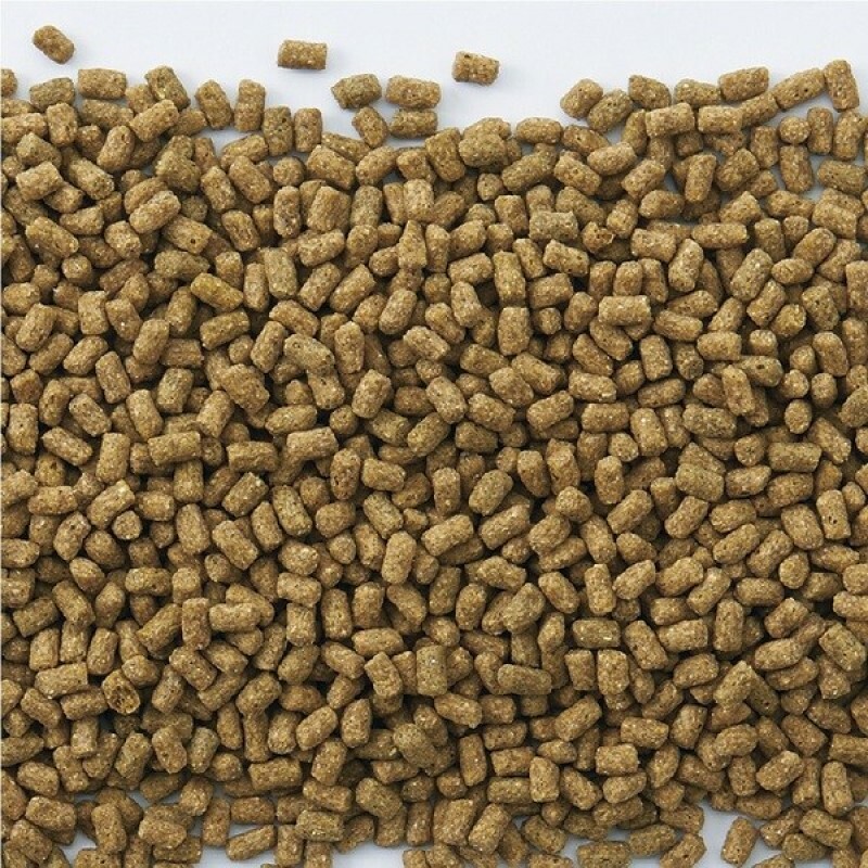 Marukan 三合一刺蝟糧 - 400g