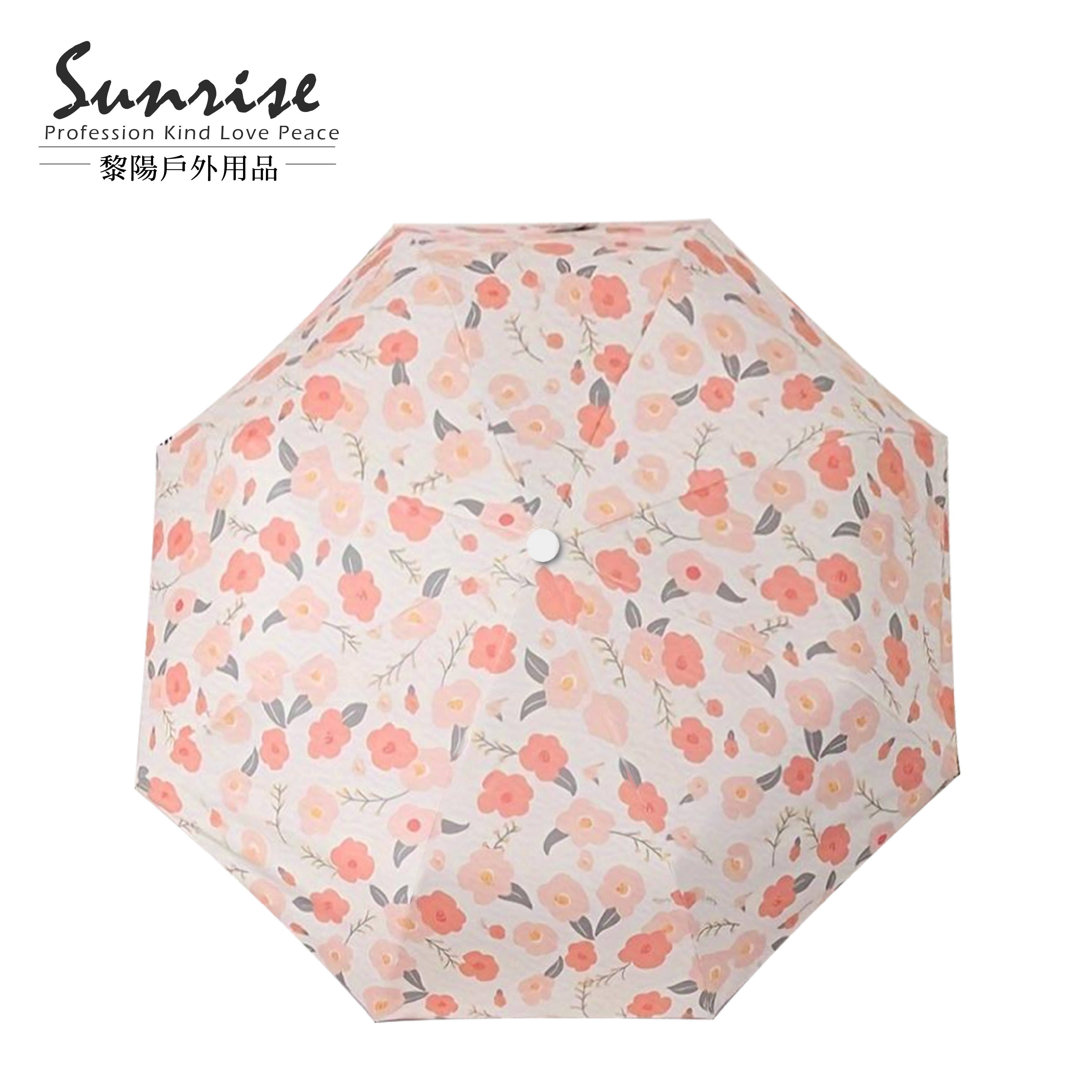 典雅自動傘系列 (26色) 87CTV170013