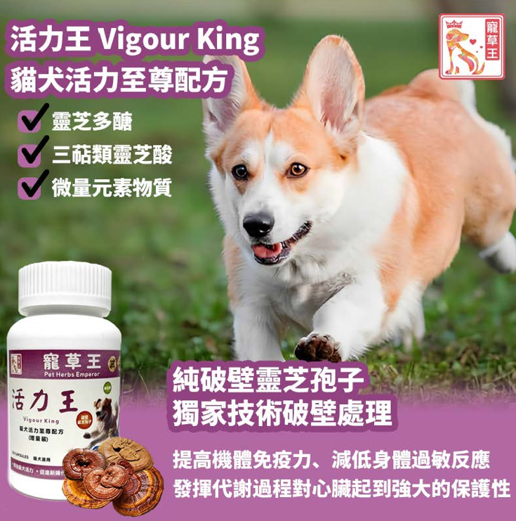 Pet Pet King Vigour King 120 Capsules