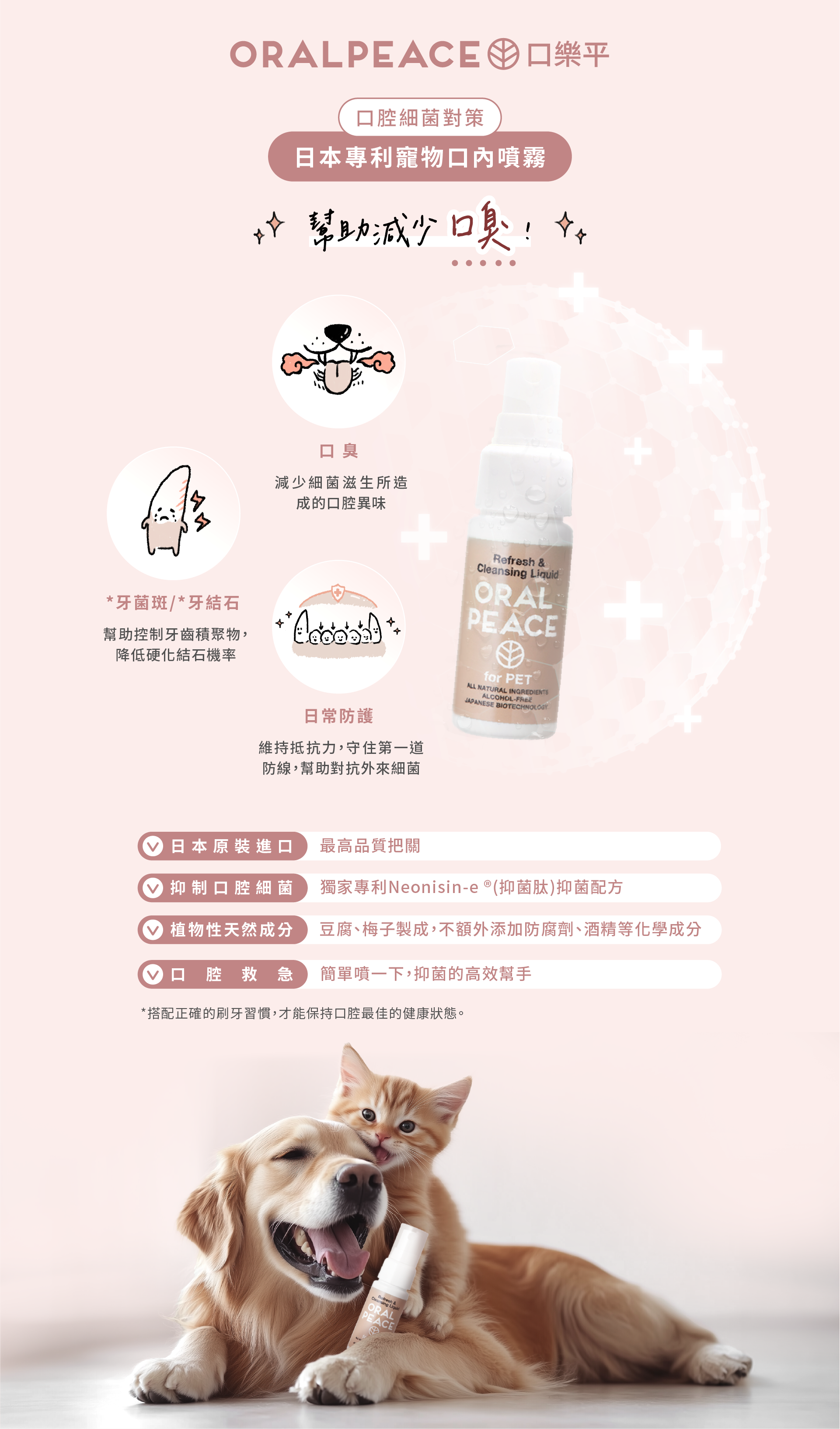 日本專業寵物口腔噴劑/寵物漱口水