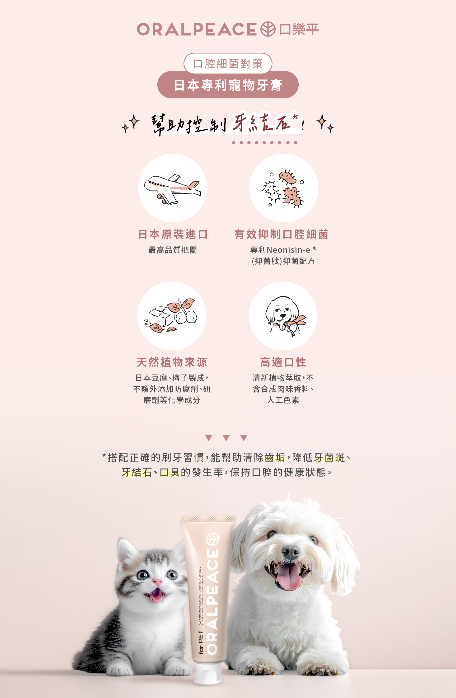 寵物牙膏推薦,狗狗貓咪皆可使用