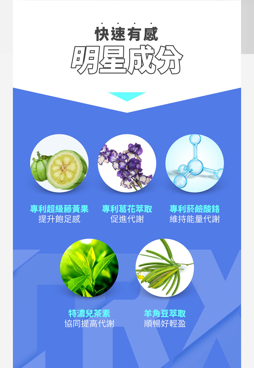 m2美度 超能馬甲錠  30入/盒