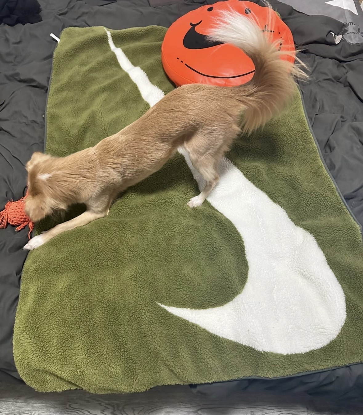 【APAIR】預購 國外限定 Nike swoosh 勾勾 抽獎毛毯 墨綠 附贈小提袋