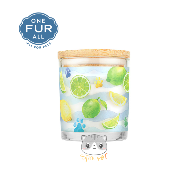ONE FUR ALL Sea Salt & Citrus Pet House Candles 8.5oz