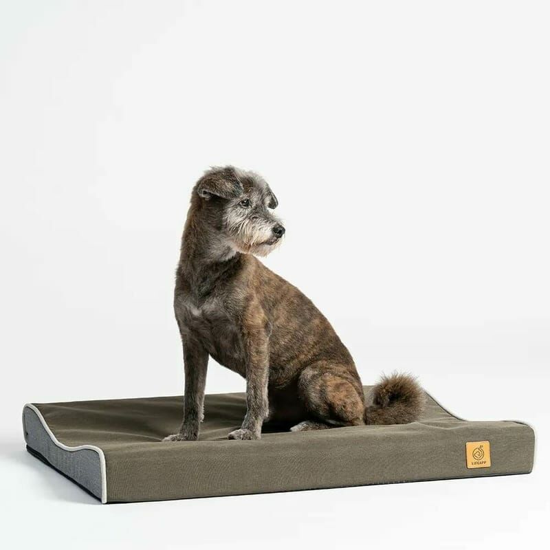 Lifeapp Lazy Bed olive green