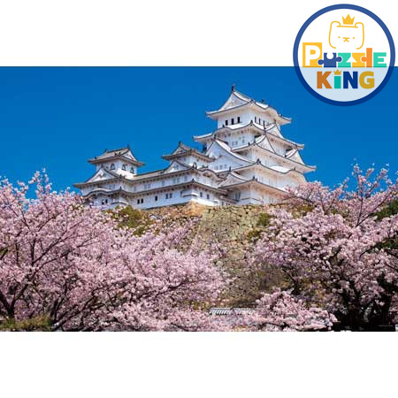 千櫻花和姬路城（兵庫縣）