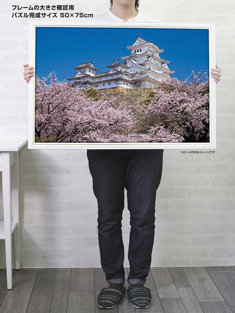 千櫻花和姬路城（兵庫縣）