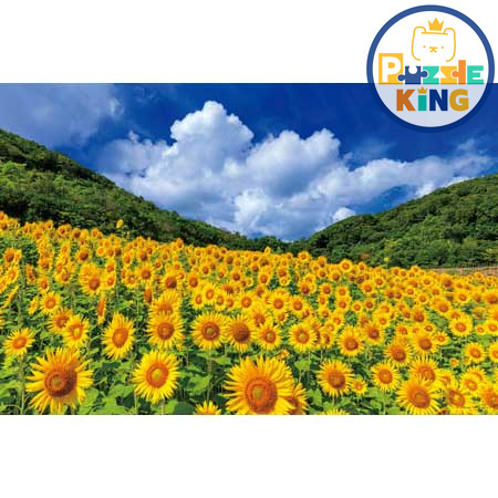 夏天的天空和閃閃發光的向日葵（三重縣）