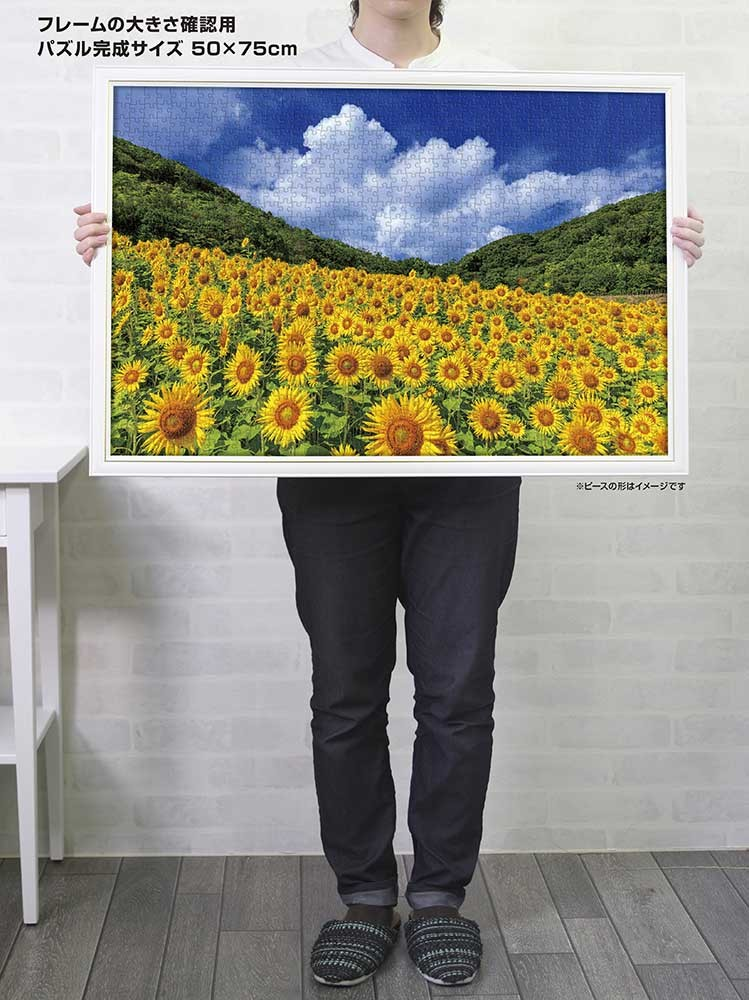 夏天的天空和閃閃發光的向日葵（三重縣）