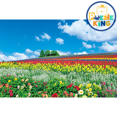 北海道-富良野-花之丘 (絕版)