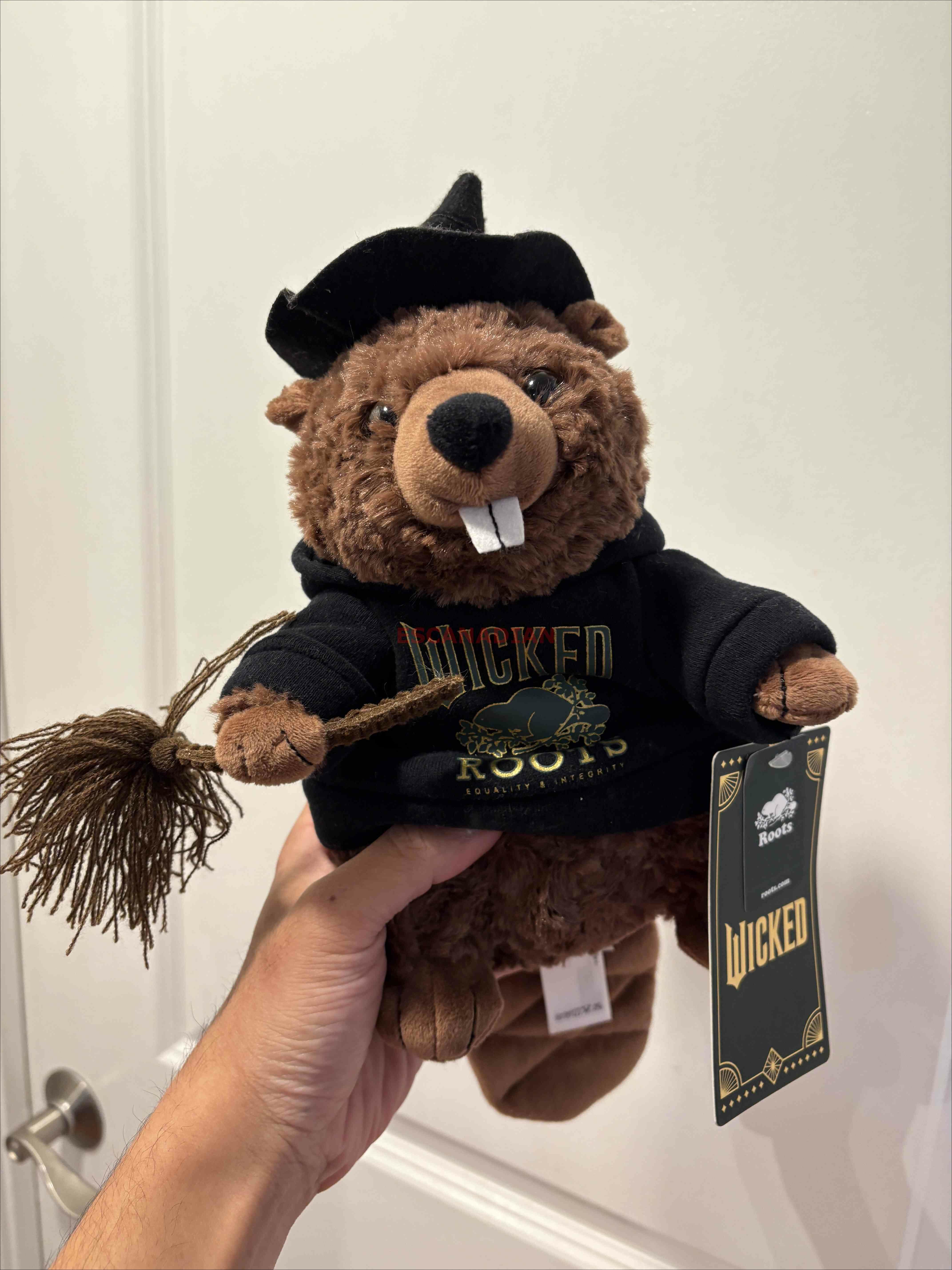 ROOTS Wicked聯名款 海狸娃娃 (2款)