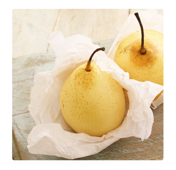 水果鴨梨, 兩個鴨梨, two price of white pear. fruit