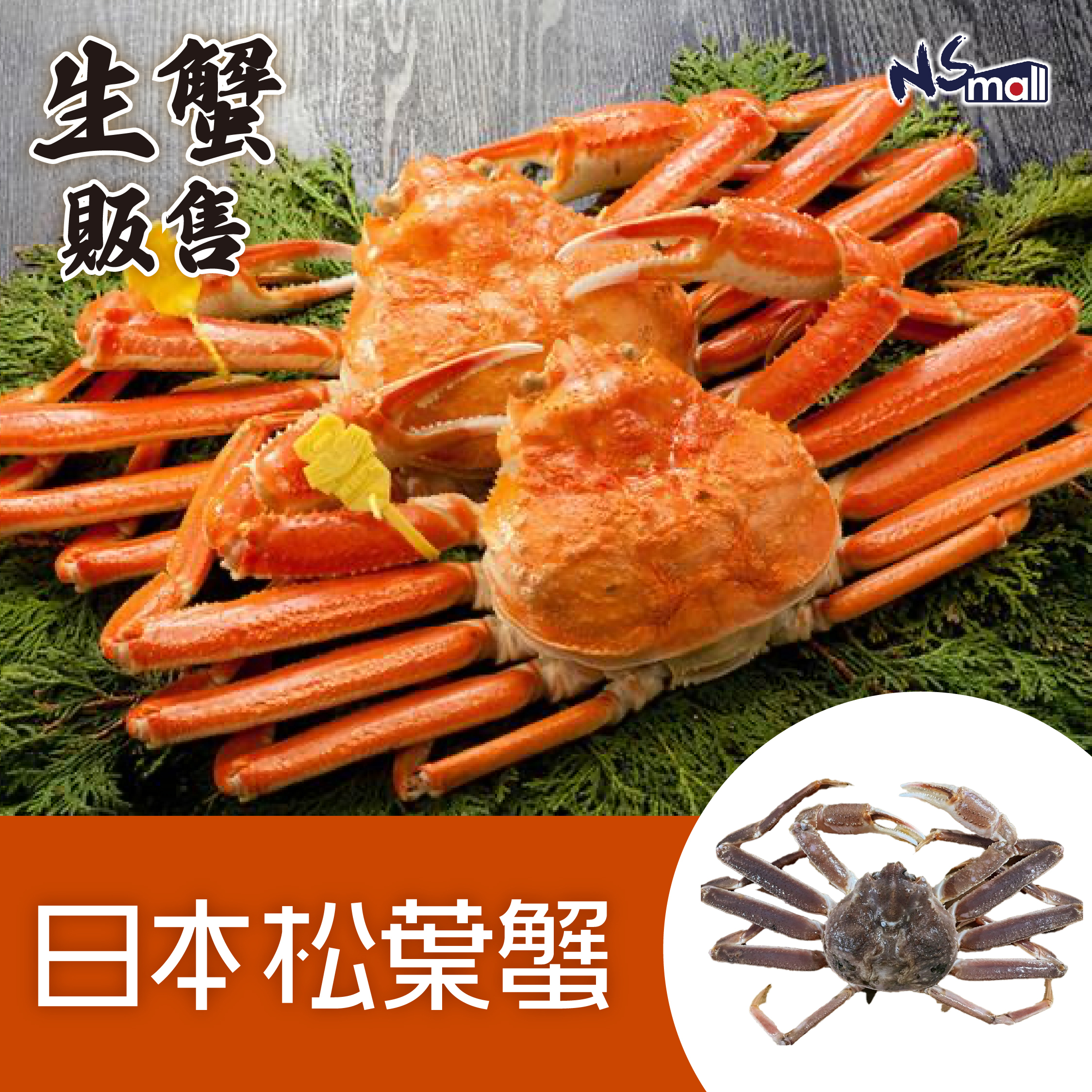 日本松葉蟹 (5規格可選)
