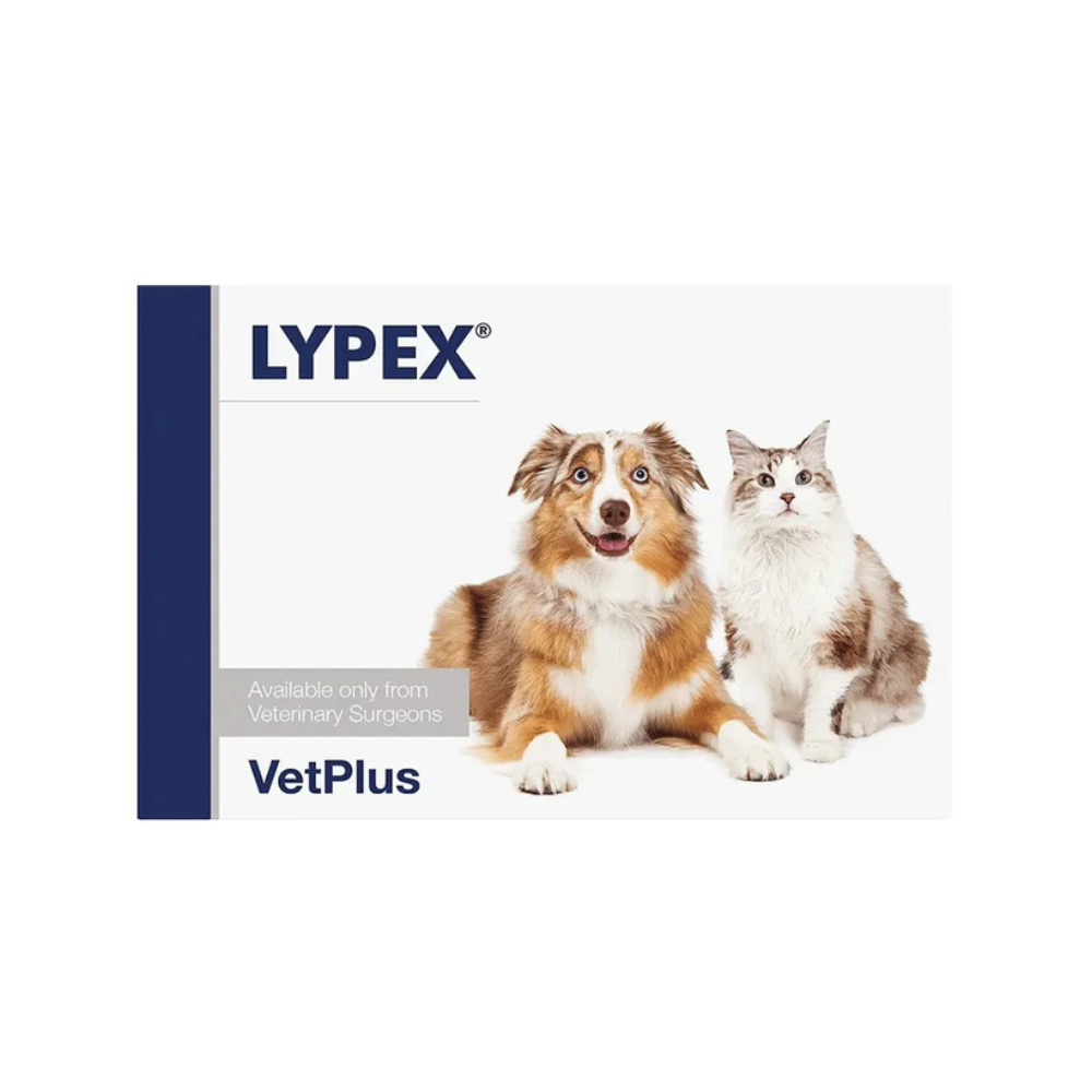 Vetplus - Lypex 貓狗多酶素膠囊 60粒 ( (貓狗適用))